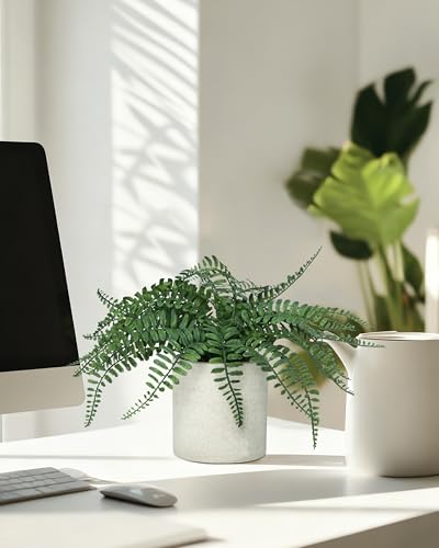 DuHouse 人工シダ 鉢植え植物 フェイクグリーン植物 ホームオフィス デスクシェルフ バスルーム キッチン ファームハウス 卓上装飾 [2]