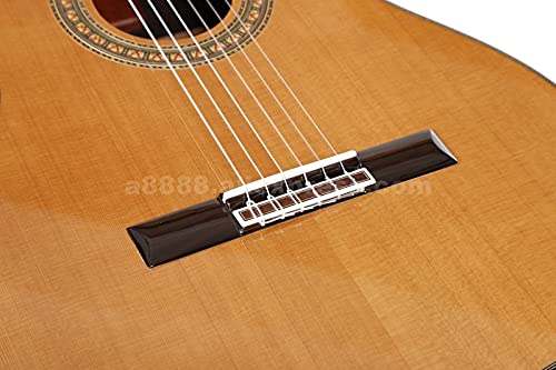 CJWSLYT Guitare professionnelle faite à la main 99,1 cm avec dessus en cèdre/corps en palissandre massif + étui rigide… - Les Beatles, Paul McCartney, John Lennon, RIngo Starr, George Harrison CJWSLYT Guitare professionnelle faite à la main 99,1 cm avec dessus en cèdre/corps en palissandre massif + étui rigide… – Image 4