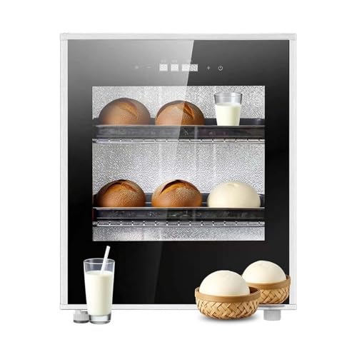 AETEREOS Chambre de Pousse électrique 40L Professionnelle, contrôle numérique, Parfaite pour Boulangerie, pâtisserie, Design INOX Haut de Gamme