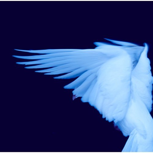 初恋の嵐 君さえ居れば 歌詞 歌ネット