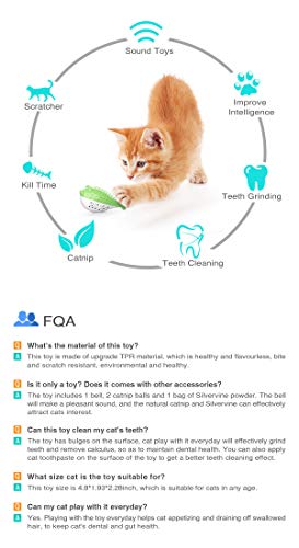 cat toothbrush toy