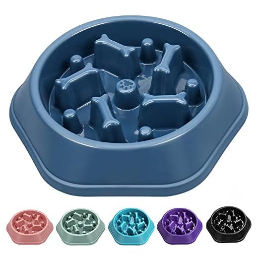 UPSKY Slow Feeder Dog Bowl Anti-Chocking Slower Feeding Pet Puzzle Bowls, Interactive Bloat Stop Dog Food Dishes Non-Slide Dogs Lick Treat for Small Medium