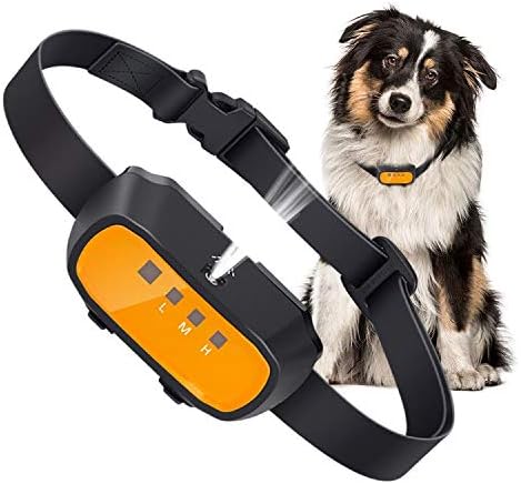 amazon citronella collar