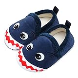 Lisdwde Boys Girls Warm Slippers Kids Winter Indoor Household Shoes with Non-Slip Rubber Sole Shark