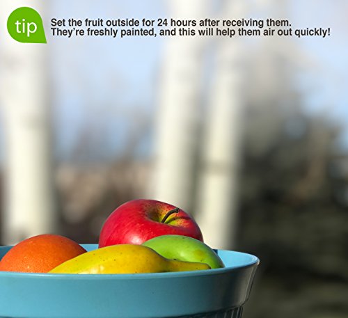 Dasksha 14Pcs Lifesize Realistic Fruit Set - Fake Fruit For Decoration – Not A Child's Toy - Set Includes Fake Apples, Oranges, Bananas, Limes #TOP4