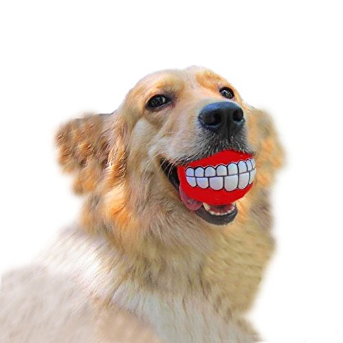 Dog squeaky toy-funny and cute bucktooth dog toy squeaker ball for medium/large dogs
