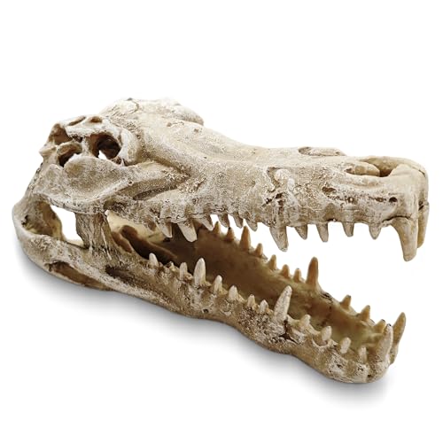 Image of Dinosaur Skull Aquarium Decor - Ideal for Fish Tank Decorations, Terrarium Decor, Aquarium Ornaments, and Bearded Dragon & Gecko Tank Accessories, Gift for Reptile & Fish Lovers