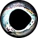 Brule 3-D Hard Epoxy Eyes (Frost, 10mm)
