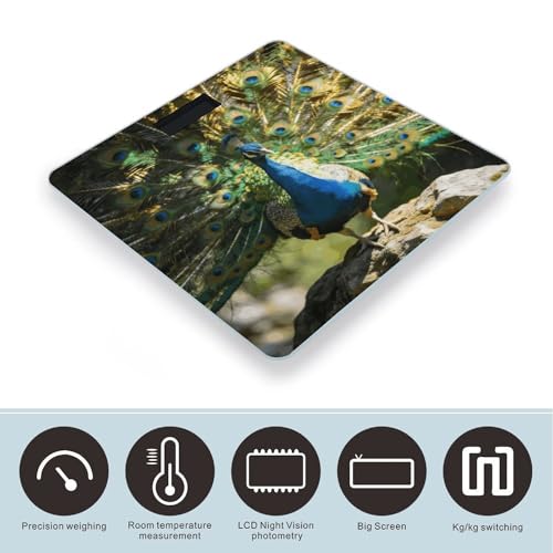 Báscula digital de baño con plataforma de vidrio templado miniatura 3