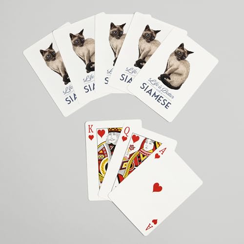 Lantern Press Siamese Cat, 52 cartas de poker miniatura 7