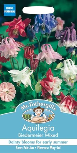 Mr. Fothergill's 24269 Aquilegia Biedermeier Mixed Flower Seeds