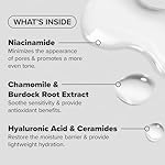 Paula's Choice SKIN BALANCING Pore-Reducing Face Toner for Combination and Oily Skin, Minimizes Large Pores, Controls Oil & Shine, Hydrates & Replenishes, Suitable for Acne-Prone Skin - Image 3