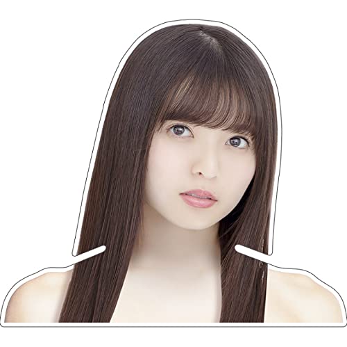 フォトハンガー Amazon.co.jp: 【超】乃木坂46○齋藤飛鳥○フォトハンガー○人形