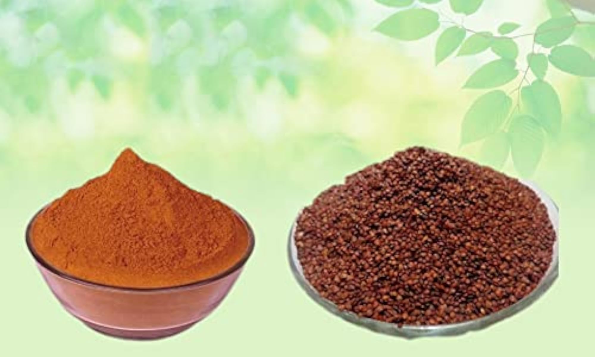 Mimosa Pudica Seeds Powder, Raw Herbs, 100 Gram