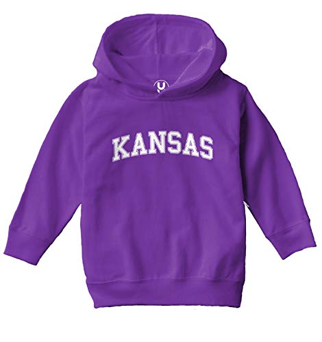 Haase Unlimited Kansas - State Proud Strong Pride Toddler/Youth Fleece Hoodie