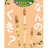 なんの　くき？７　つぼみ・たね・はっぱ・・・　しょくぶつ　これ、なあに？