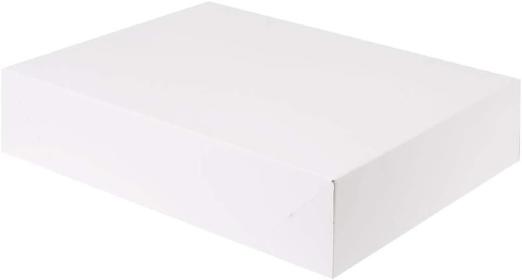2 Coat White Gift Boxes, 19 x 14.25 x 4 Inches by Holiday