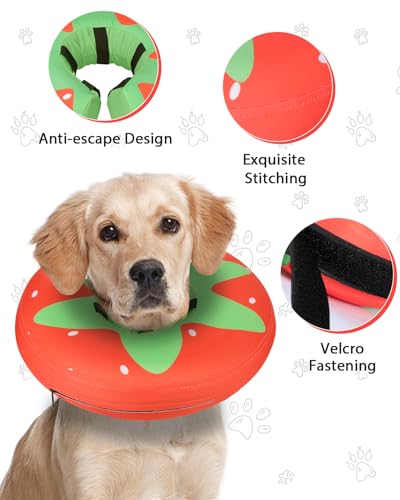 Image of MIDOG Inflatable Dog Cone, Donut Recovery Collar After Surgery, Large+