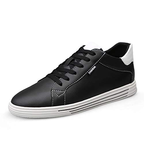 [ZebrApril] V[NbgXj[J[ Y Xj[J[ 6cmgAbv V[NbgC\[ wȂC JWA jO tp RD16803 (ubN,24.5 cm 3E)