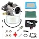 DOCAS 799868 Vergaser-Kit kompatibel für Briggs & Stratton 498170 799872 694202 497586 498254 790821-14111 Vergaser +795259 Luftfilter-Reiniger-Grundierung