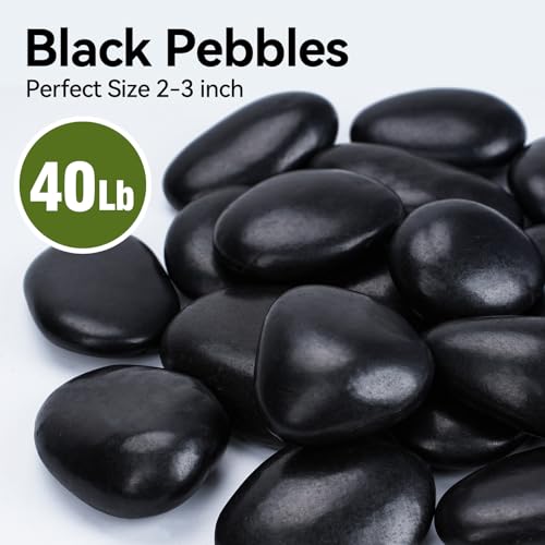 Image of Pulovin 40 lbs Black Stones for Plants Indoor, 2-3 Inch Decorative River Rocks for Plants, Flower Pots, Vase, Polished Garden Stones for Outdoor Landscaping, Walkways, Yard
