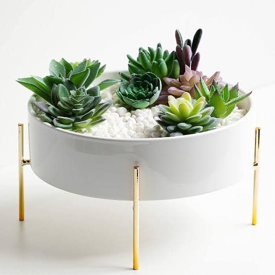 Craft Capital Modern Metal Iron Flower Pot Plant Stand with Pot / Indoor Outdoor Stand with Pot Round Plant Stand , (10x5) inch , White/Gold (B0BBB5W551) Amazon Price History, Amazon Price Tracker