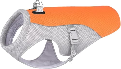 Wyazziv  ėp N[xXg pN[ N[ ĕ N[R[g ʋC MǑ΍ Ă΍ AEghA U (M,D)