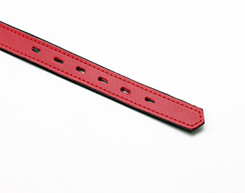 Leder Halsband Abschließbar Gothic Rot schmal, Stabiler O-Ring Punk Choker 100% Echtleder