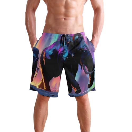 Men's Swim Trunks Aurora Elephants Print, Quick Dry Beach Board Shorts with Lining-S