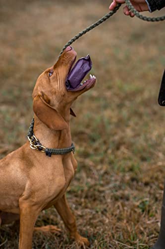 ESCAPURE Softies - Hunde Leckerli aus Wildfleisch in Premium Qualität (6x150g) - 98% Muskelfleisch - Softer Protein Trainingssnacks ohne künstliche Zusatzstoffe & Getreide