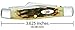 Case Medium Amberbone CV Stockman Pocket Knife, Chrome