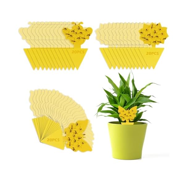 VFANDV Gelbtafeln, 60 Stück Gelbsticker Trauermücken Bekämpfen Gelbtafeln für Aussen Fruchtfliegenfalle für Küche Effektive Klebefalle Gelbtafeln Trauermücken Gelbsticker Trauermücken