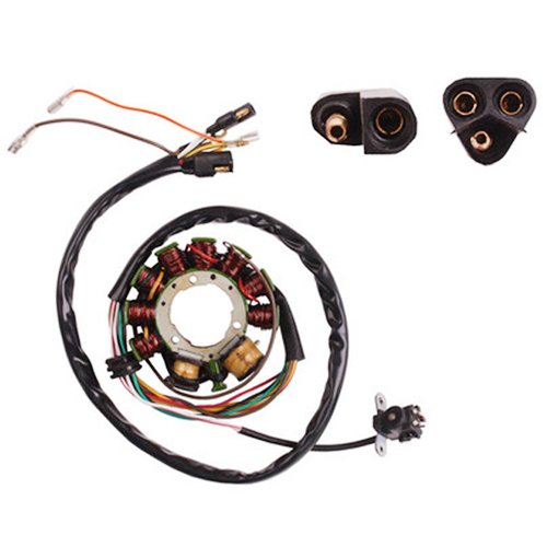 WOOSTAR 12 Bobine 7 Fils Magnéto Stator Remplacement Pour 2002 Ma