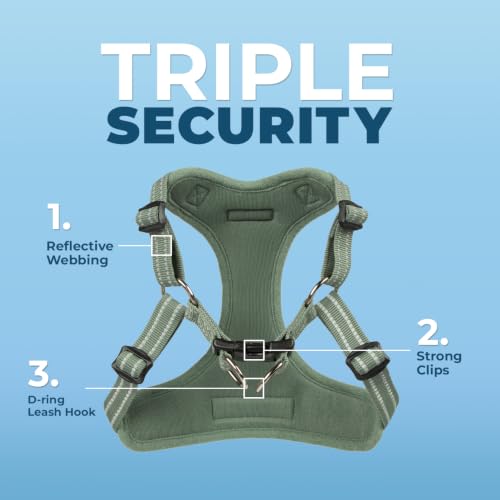 Image of Best Pet Supplies Voyager Adjustable Step-in Flex Breathable Mesh Dog Harness for Small Medium Large Dogs Leash Set (Moss Green), XS