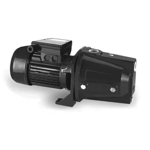 Pompa Acqua Elettropompa Autoadescante 1.5HP 1.1kW Monofase 230V Corpo in