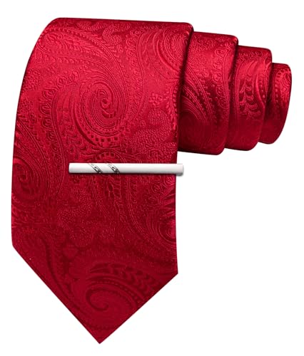 Image of Barry.Wang Paisley Tie for Men Silk Woven Necktie and Tie Clip Set Wedding Party Business Formal