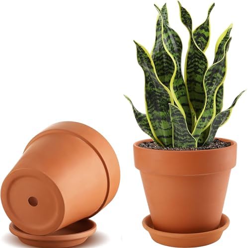 2 Pack Large Terracotta Pots with Saucer for Plants, 8 Inch Terra...