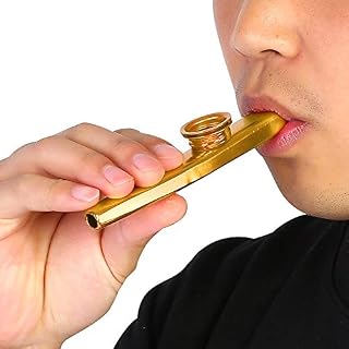 Drfeify Kazoo Enfants, Kazoo en métal Instrument de Musique Cadeau Jouet pour Enfants - Les Beatles, Paul McCartney, John Lennon, RIngo Starr, George Harrison Drfeify Kazoo Enfants, Kazoo en métal Instrument de Musique Cadeau Jouet pour Enfants – Image 4