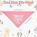 Heclia Big Sister Dog Bandanas Gender Reveal Announcement Scarf for Medium Cute Pet Photo Props for Pregnancy Reveals Birthdays Family Adjustable 2 Pcs Soft Pet Bandana for Celebrations Photo Shoots