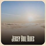 chicago bulls jersey rose  Jersey Bull Blues