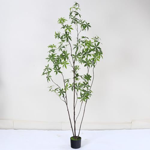 [LJKI] tFCNO[ pL lHϗtA  ItBX   ^ Ύ j v[g K̖ A lHA L R hJr Vv { CeAO[ 180cm JX z  rO