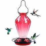 Glass Hummingbird Feeder for Outdoors Hanging, 25Oz Humming Bird Nectar Feeder, Perch, 5 Flower Feeding Ports, Leak Proof Base, Hook for Outside Garden Backyard, Gift for Women Mom, Diamond Red