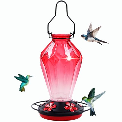 Glass Hummingbird Feeder for Outdoors Hanging, 25Oz Humming Bird Nectar Feeder, Perch, 5 Flower Feeding Ports, Leak Proof Base, Hook for Outside Garden Backyard, Gift for Women Mom, Diamond Red