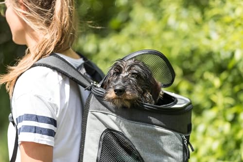 Rucksack Timon, 34 × 44 × 30 cm, schwarz/grau