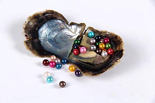 10Pc Saltwater Love Wish Pearl Oysters With Round Pearl Inside 10 Color, Rainbow Pearl Beads(7-8Mm), Birthday Mothers Christmas Gift Pearl Wedding Party #TOP6