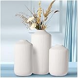White Ceramic Vase,Boho Round Modern Table Flowers Vases-Home Accents,Shelf,Office,Nordic Minimalist Decor for Home(3Piece)
