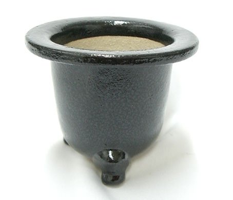 Amazon.co.jp: 観音竹鉢 京楽焼 4.0号 サナ付き : DIY・工具・ガーデン