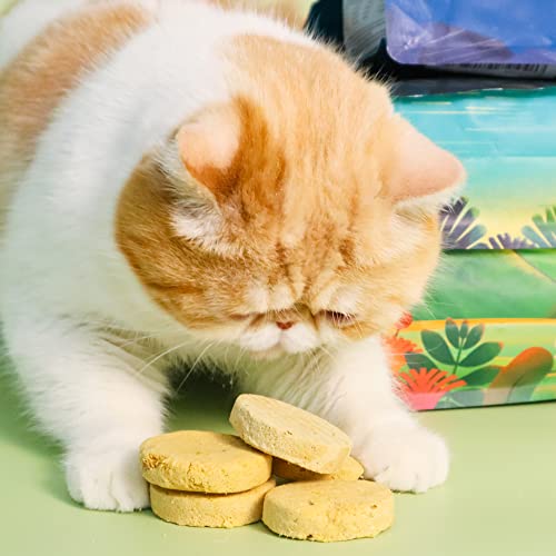 Furry · Wonder . Freeze Dried Cat Food Grain Free Mighty Nuggets For Cats 16Oz Chicken Rabbit Recipe Dinner Patties Raw Cat Food For All Breeds And Life Stages #TOP4