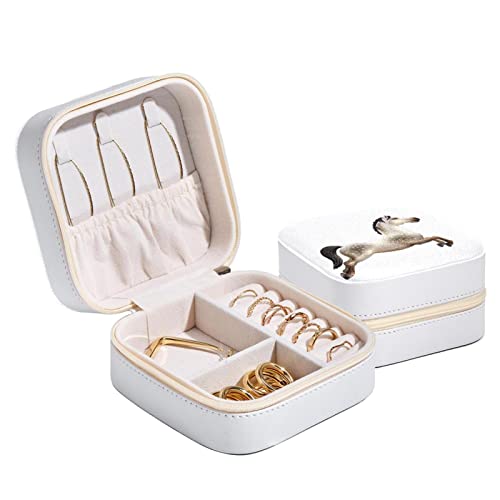 Jewelry Storage Box Travel Jewelry Case Carousel Horse Isolated for Women Girls