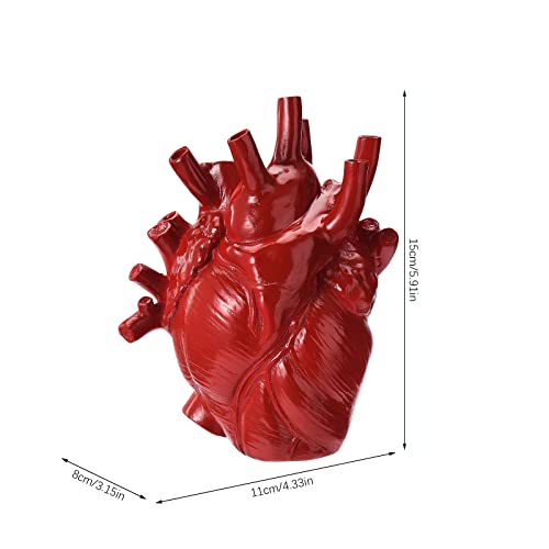 Btpouy Red Anatomical Heart Vase Resin Flower Pot Desktop Ornament Heart Shaped Vases For Flowers Heart Sculptures Home Decor, 4.3X6 Inch #TOP4